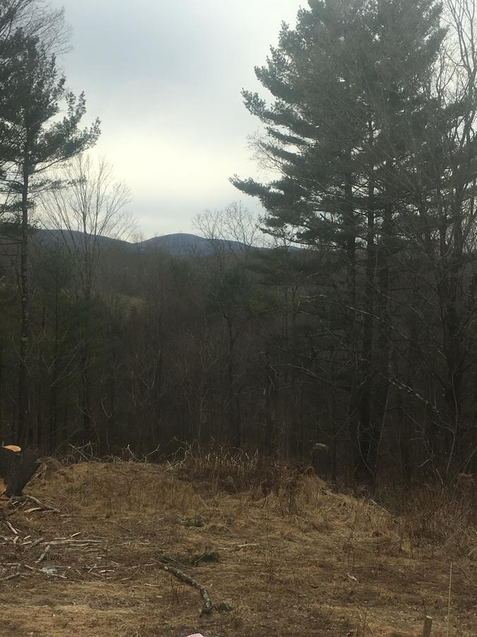 Cozy Cabin In The Catskills East Durham Exterior photo
